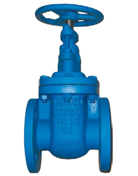 DN200 (8") Cast Iron Gate Valve Flanged Table PN16
