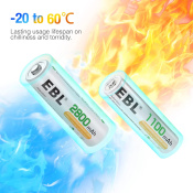 BATT-RCSET-AA-AAA_f_.jpg