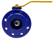 2-Blue-Valve.jpg