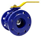 1-Blue-Valve-2.jpg