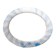 blue-max-2.jpg