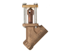 3/4 BSP Hills Sight Check Assy